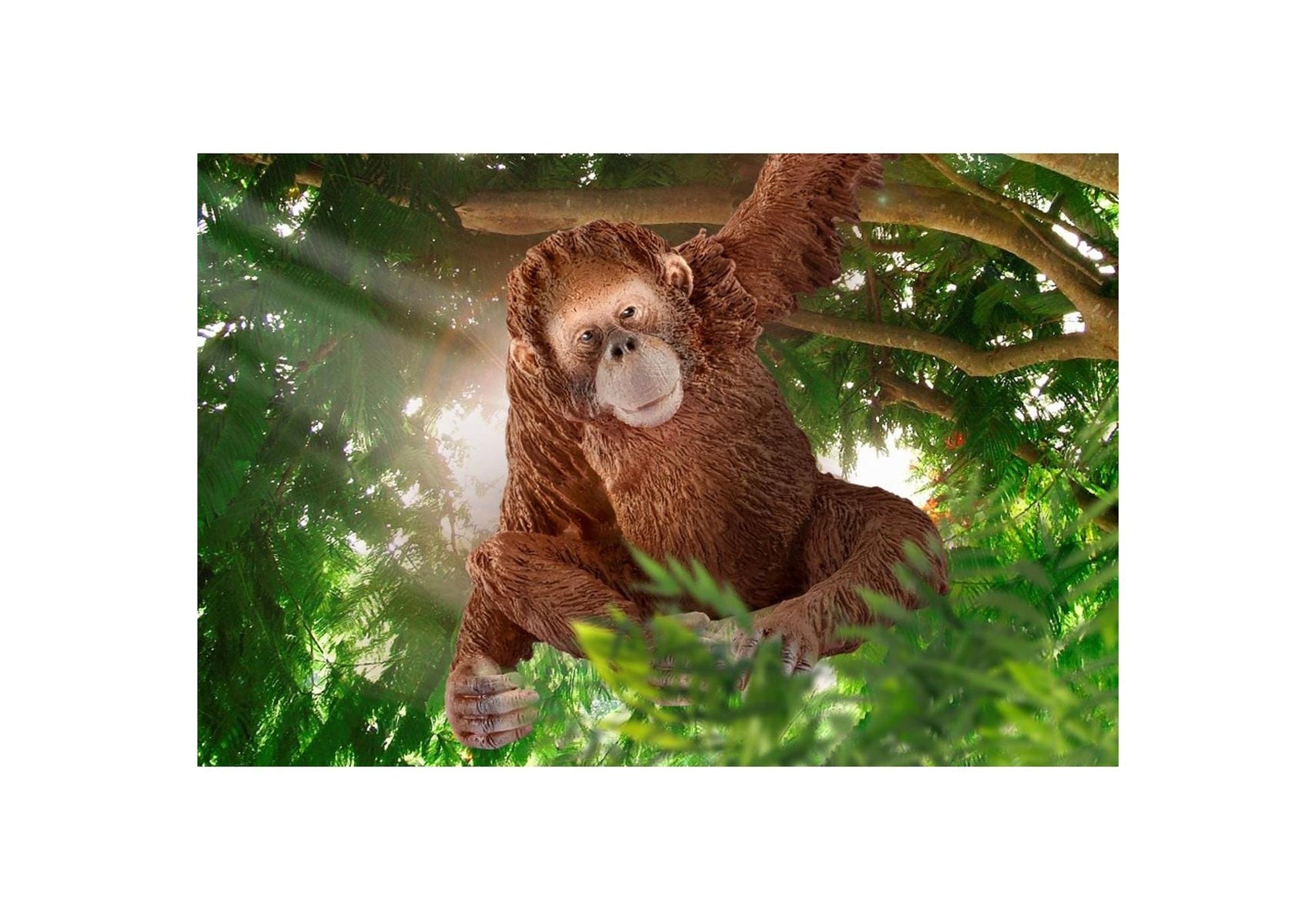 Schleich 14775 Wild Life: Orang-Utan Weibchen - plegobil