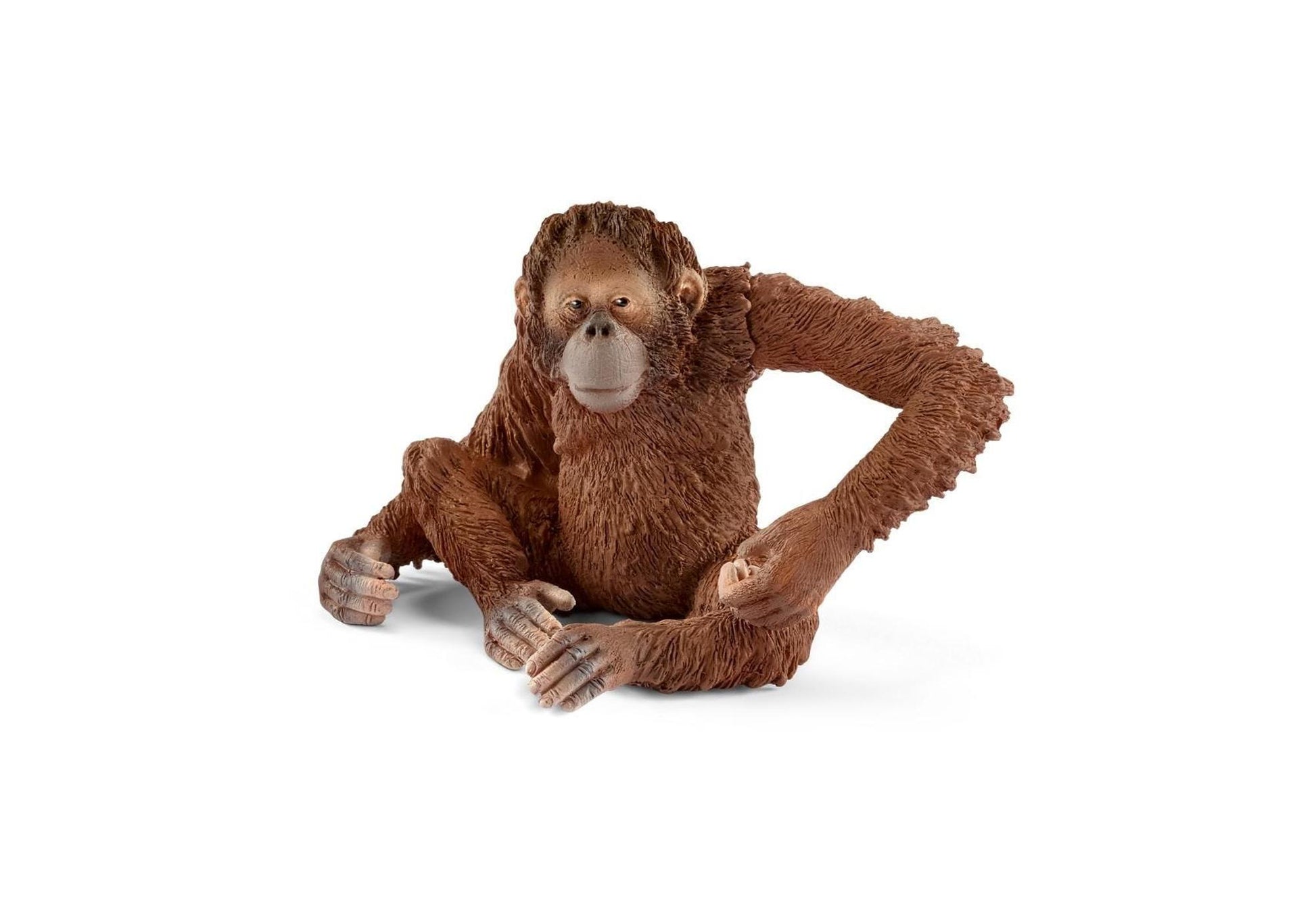 Schleich 14775 Wild Life: Orang-Utan Weibchen - plegobil
