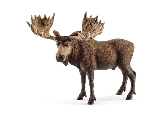 Schleich 14781 Wild Life: Elch Bulle - plegobil