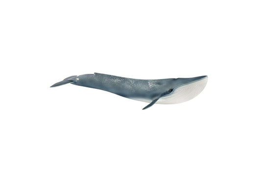 Schleich 14806 Wild Life: Blauwal - plegobil
