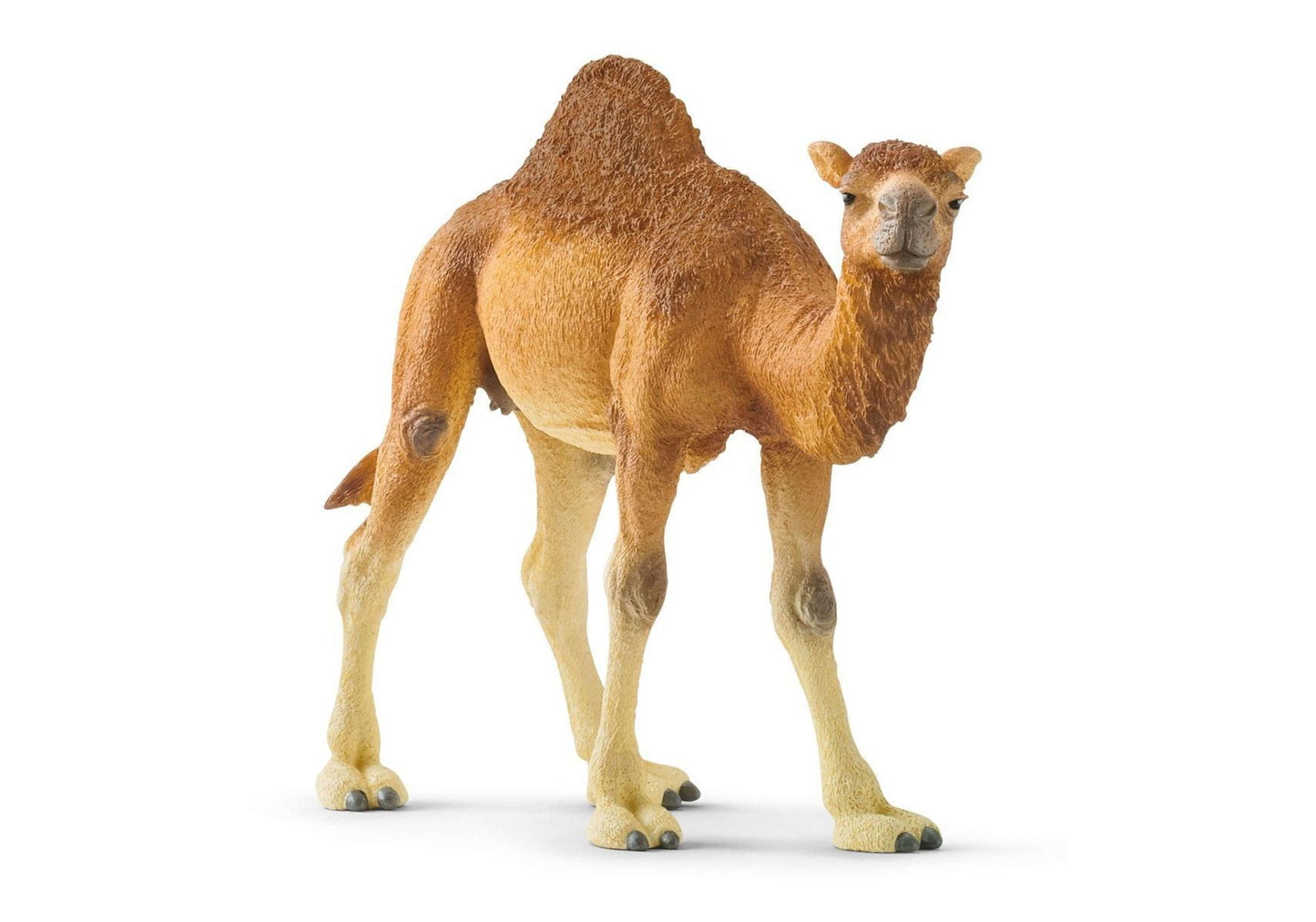 Schleich 14832 Wild Life: Dromedar - plegobil