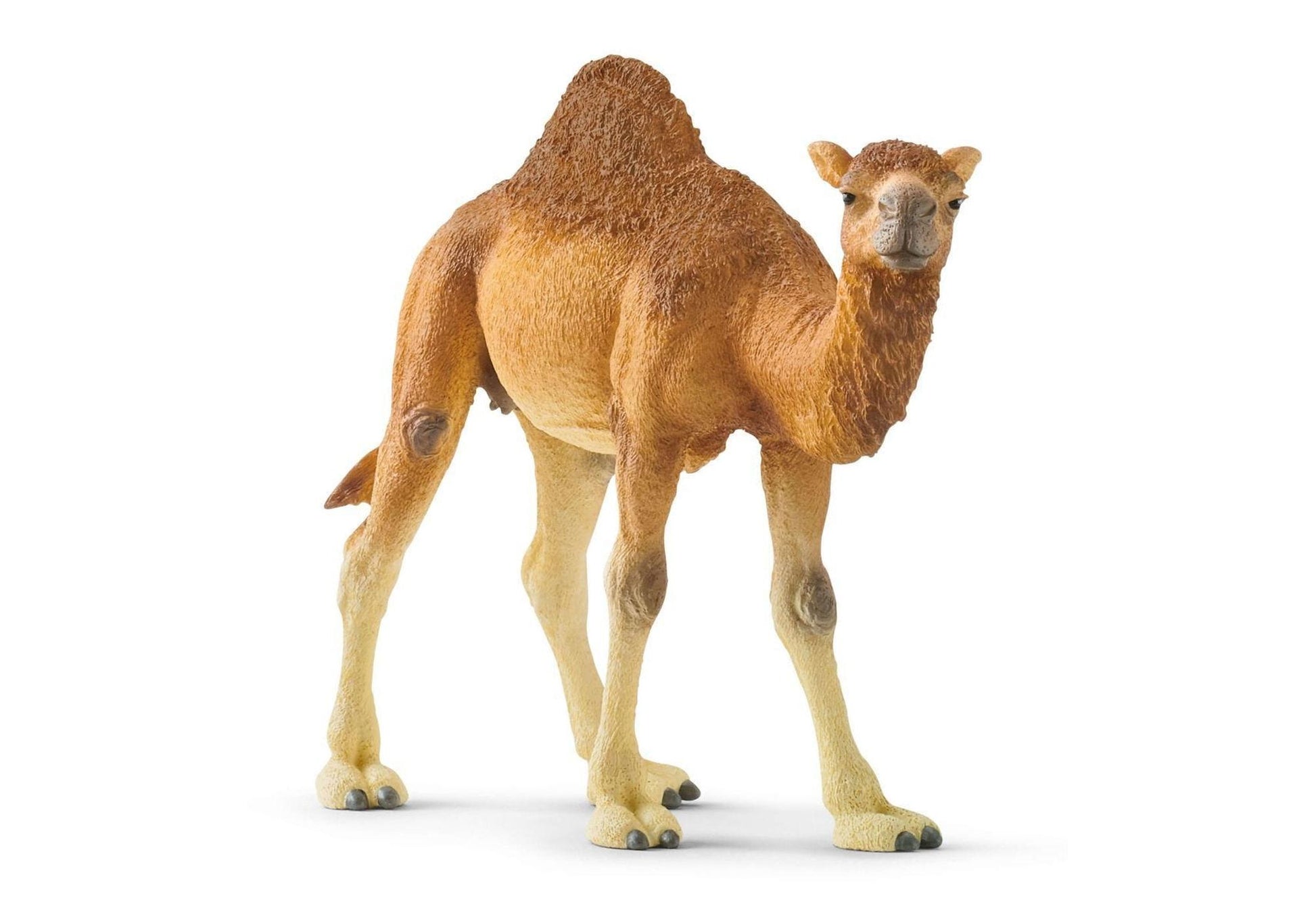 Schleich 14832 Wild Life: Dromedar - plegobil