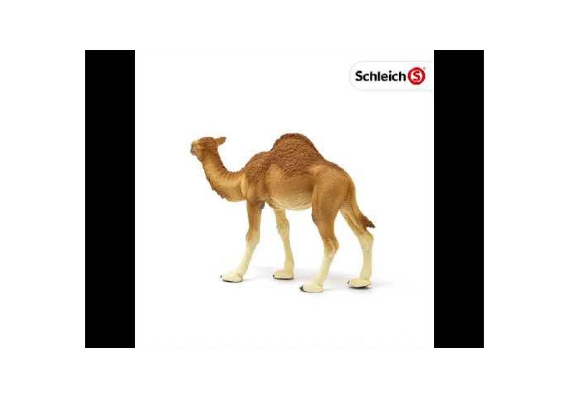 Schleich 14832 Wild Life: Dromedar - plegobil