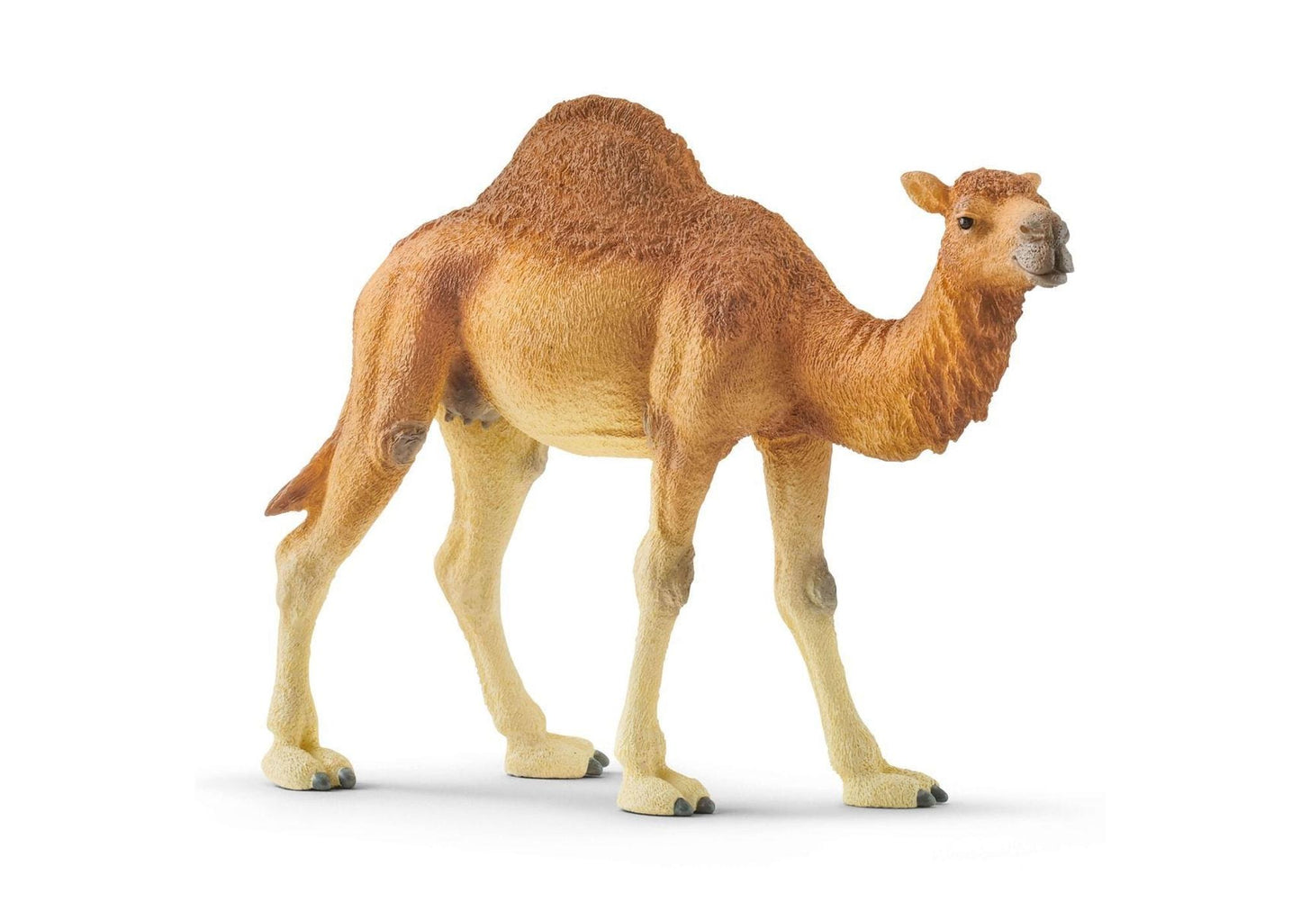 Schleich 14832 Wild Life: Dromedar - plegobil