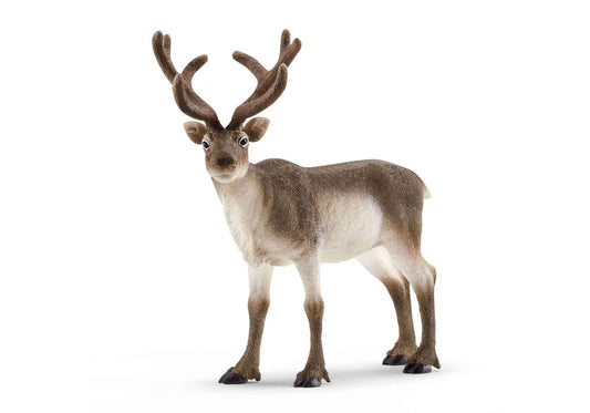Schleich 14837 Wild Life: Rentier - plegobil