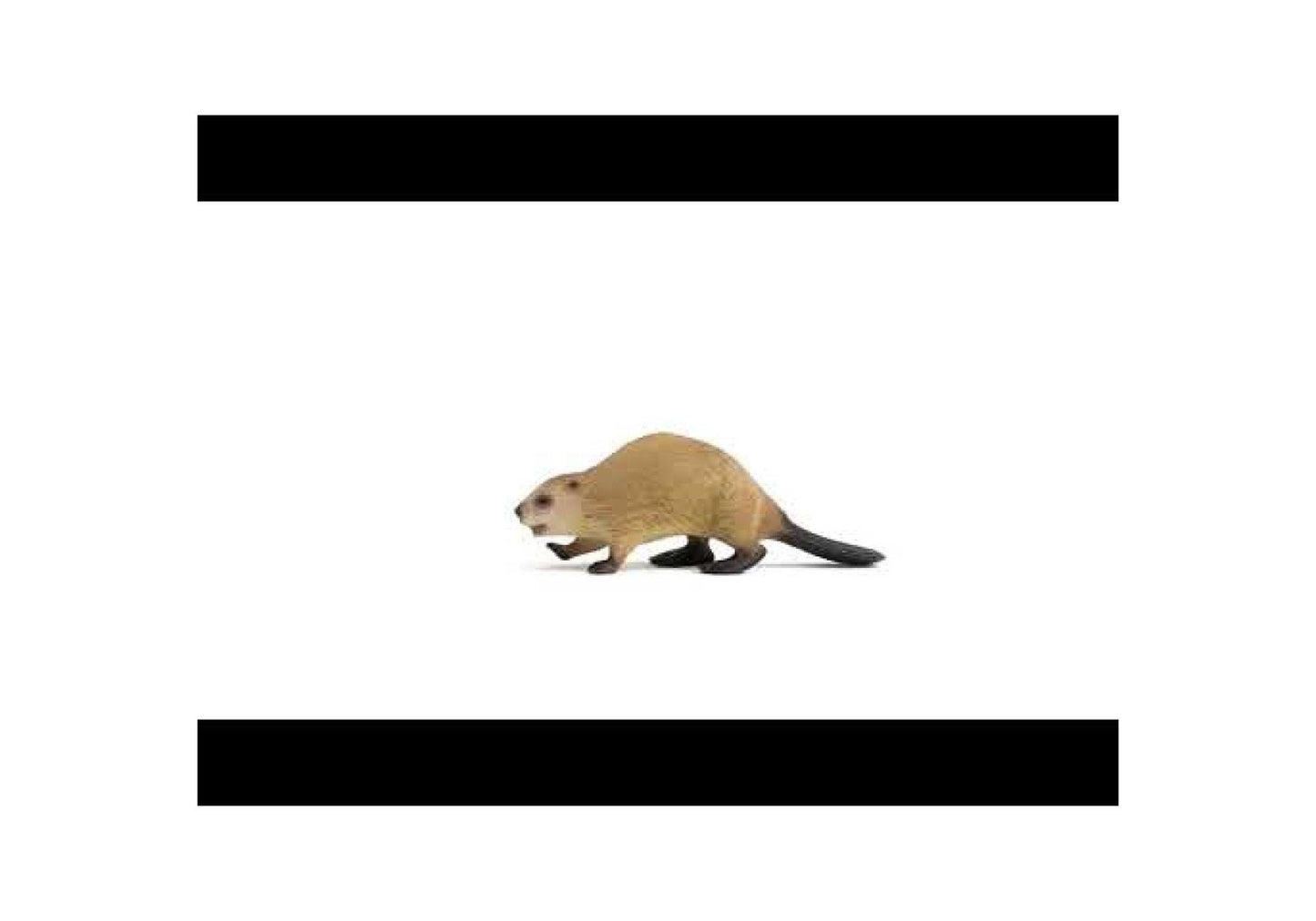 Schleich 14855 Wild Life: Biber - plegobil