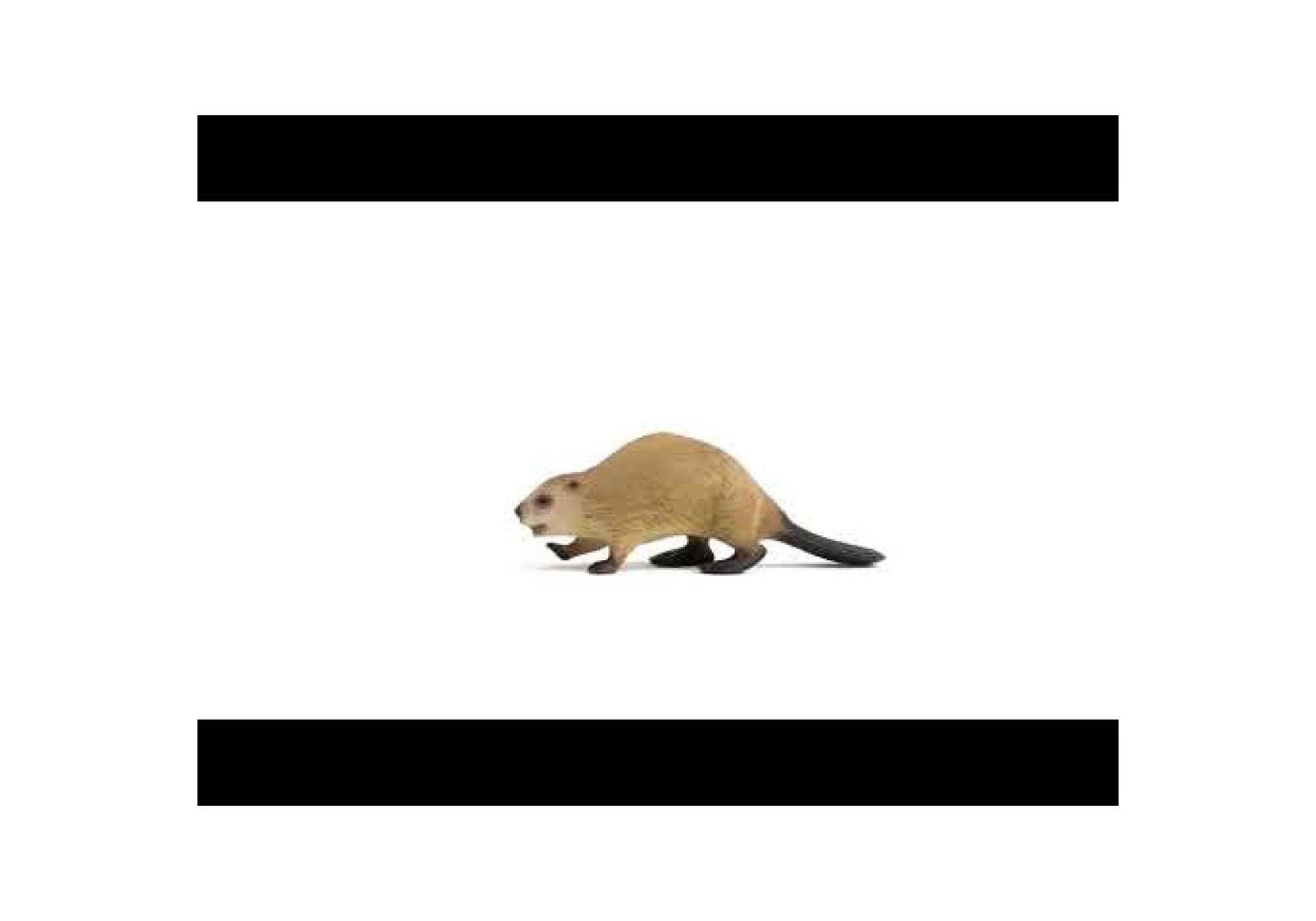 Schleich 14855 Wild Life: Biber - plegobil