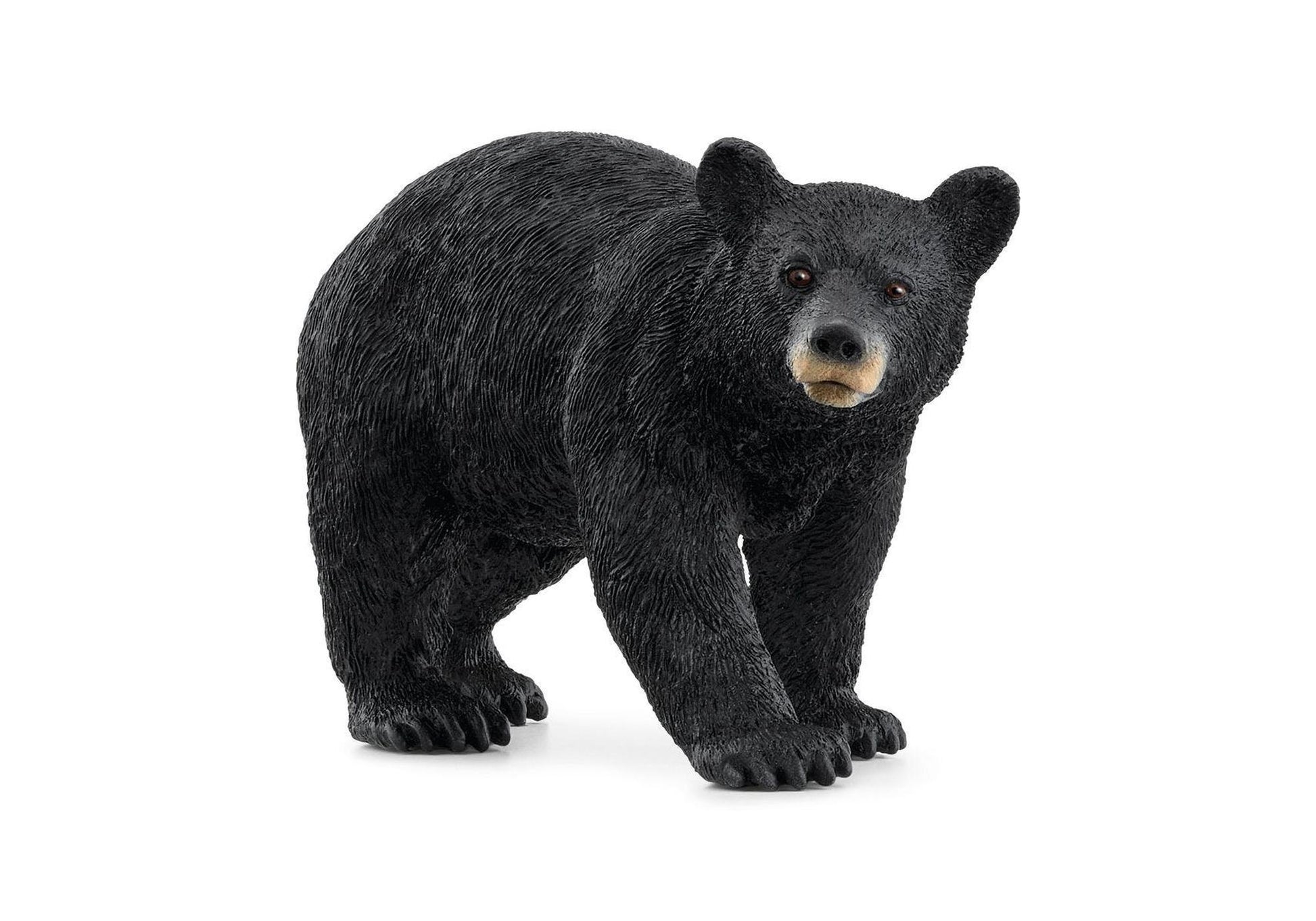 Schleich 14869 Wild Life: Amerikanischer Schwarzbär - plegobil