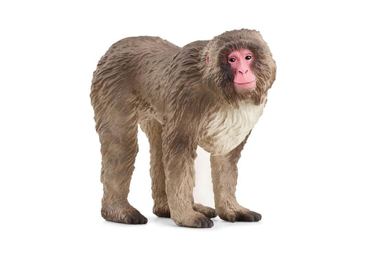 Schleich 14871 Wild Life: Japanmakak - plegobil