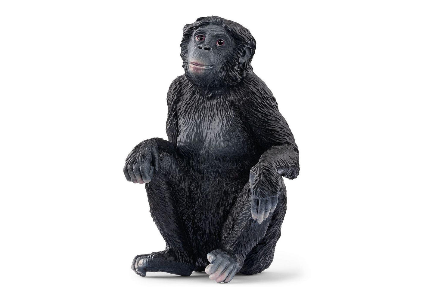 Schleich 14875 Wild Life: Bonobo Weibchen - plegobil