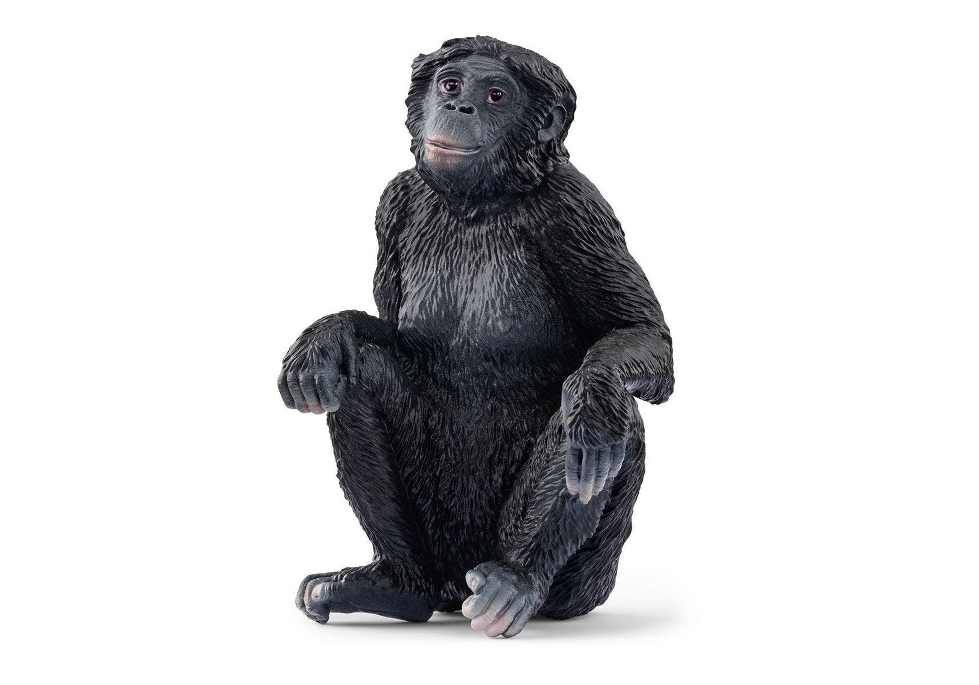 Schleich 14875 Wild Life: Bonobo Weibchen - plegobil